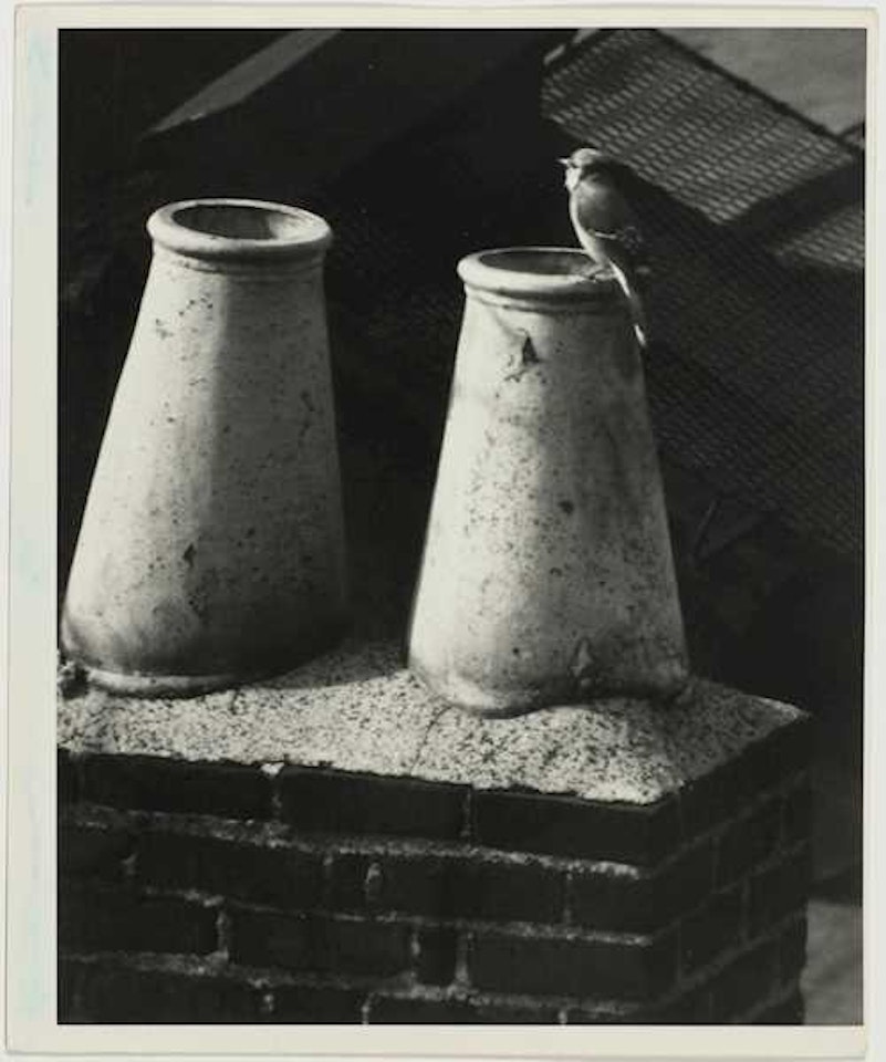 "Washington Sq[uare]" by André Kertész