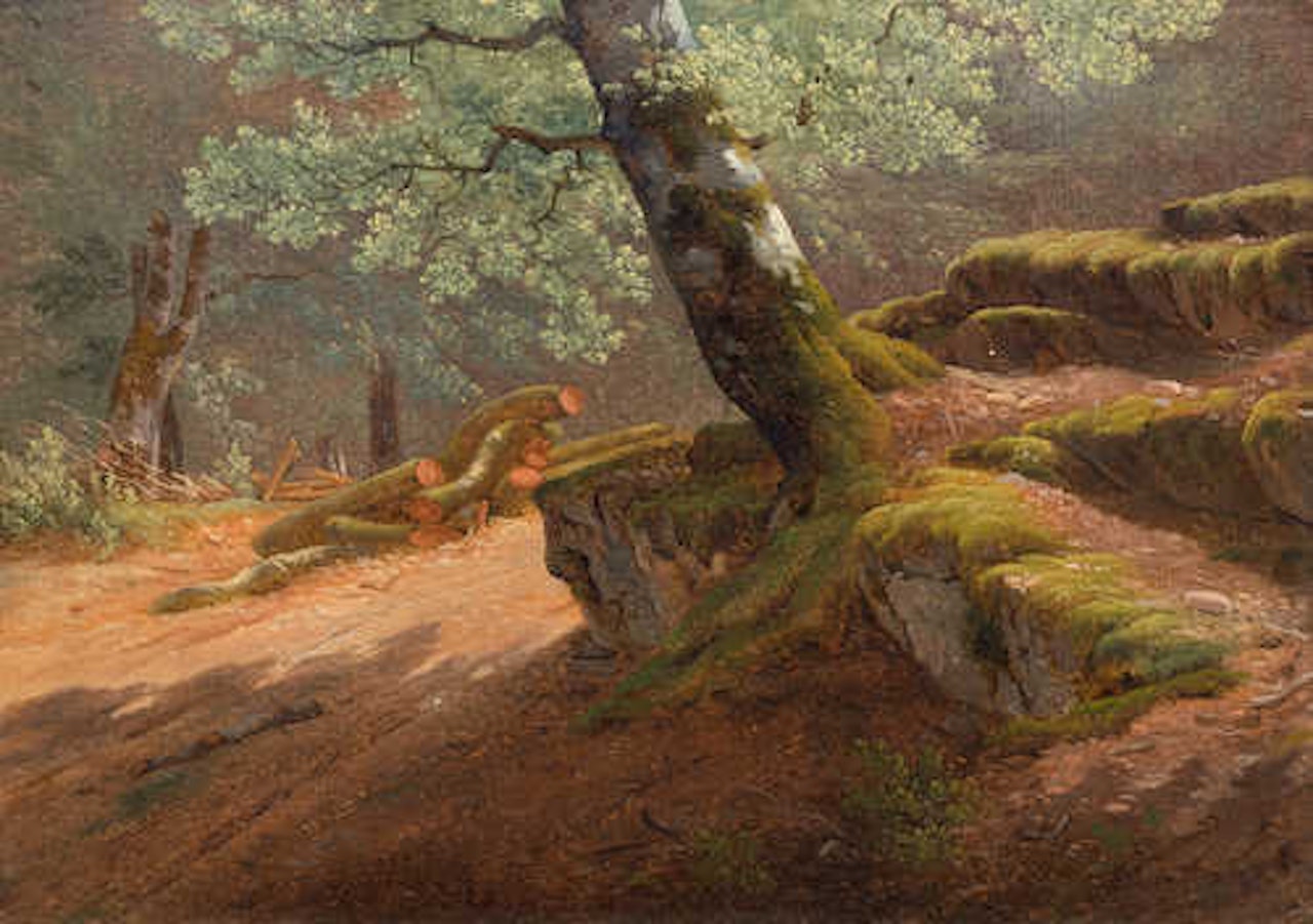 Arbres et Rochers by Alexandre Calame