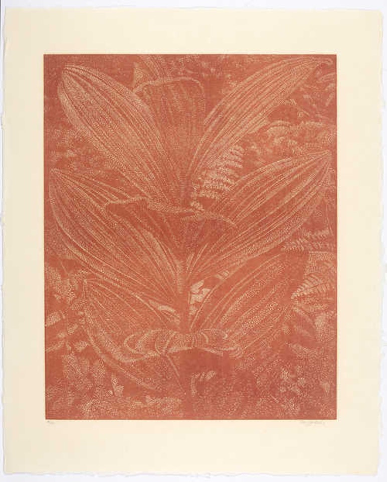 Gelber Enzian (Zinnoberrot) by Franz Gertsch