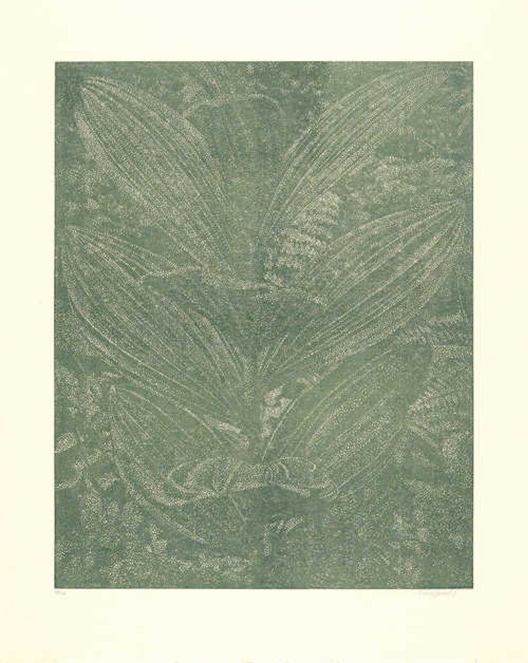 Gelber Enzian (olive) by Franz Gertsch