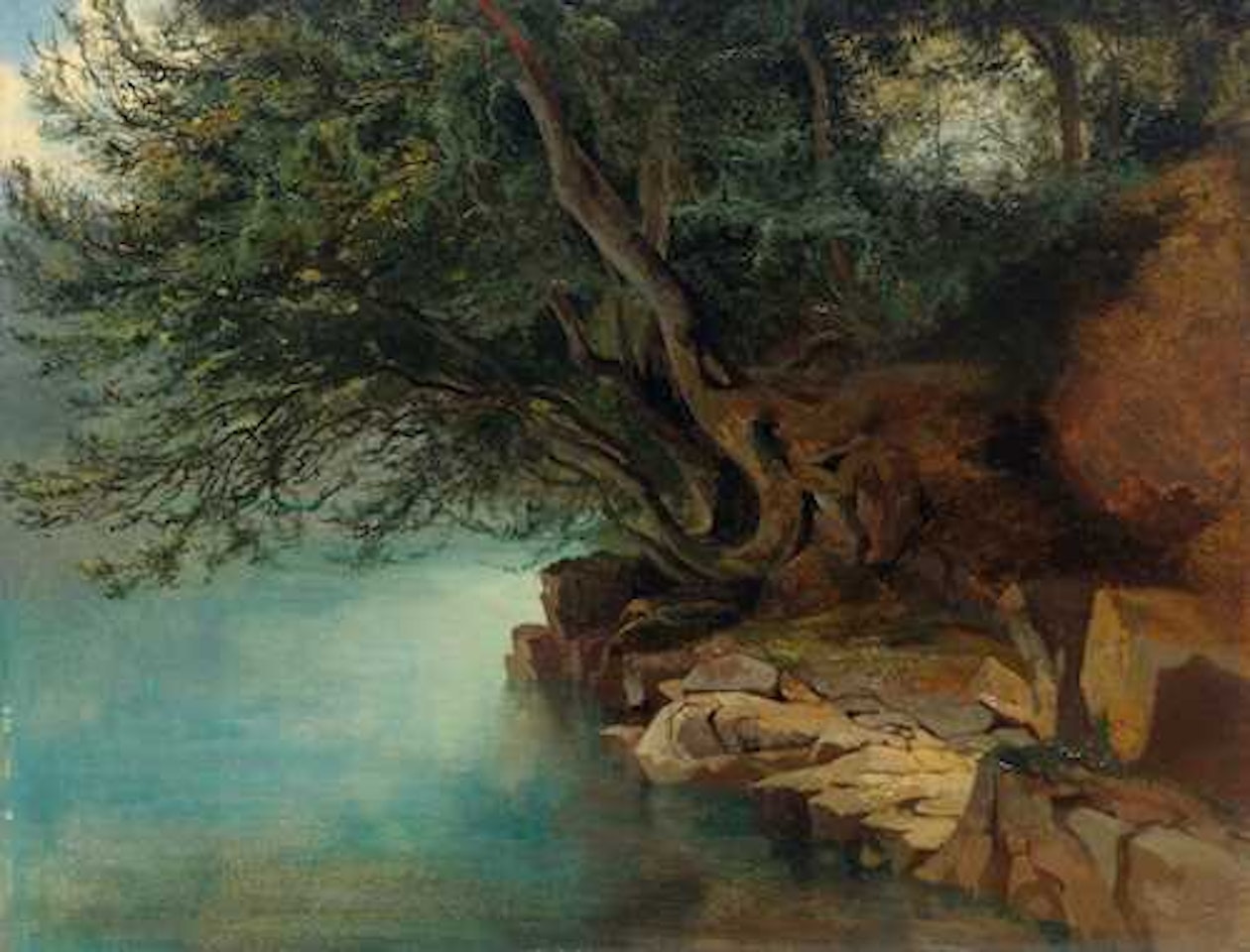 Bord de lac et branches pliées vers l"eau. by Alexandre Calame