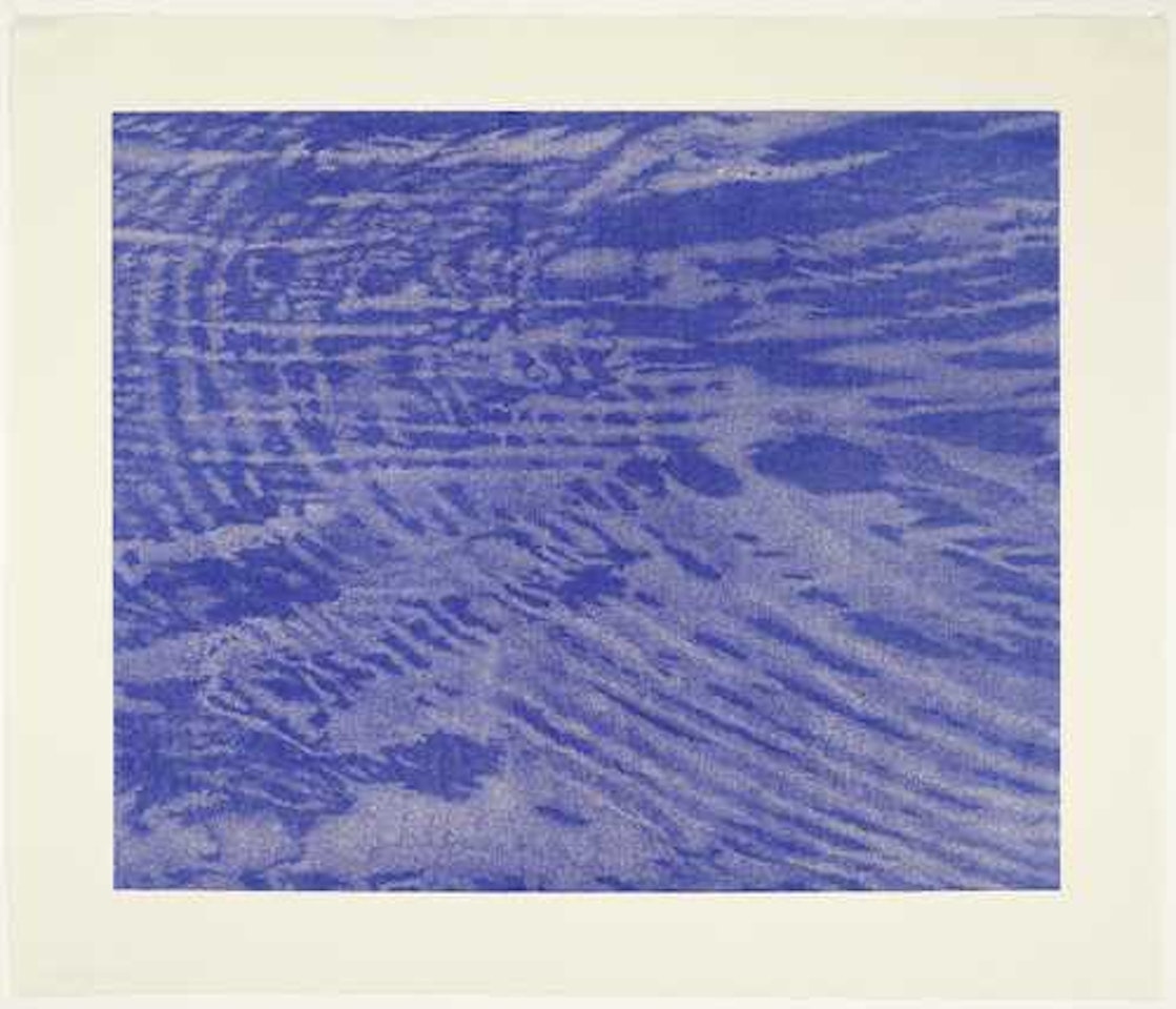 Triptychon Schwarzwasser (Detail I, form the right wing) by Franz Gertsch
