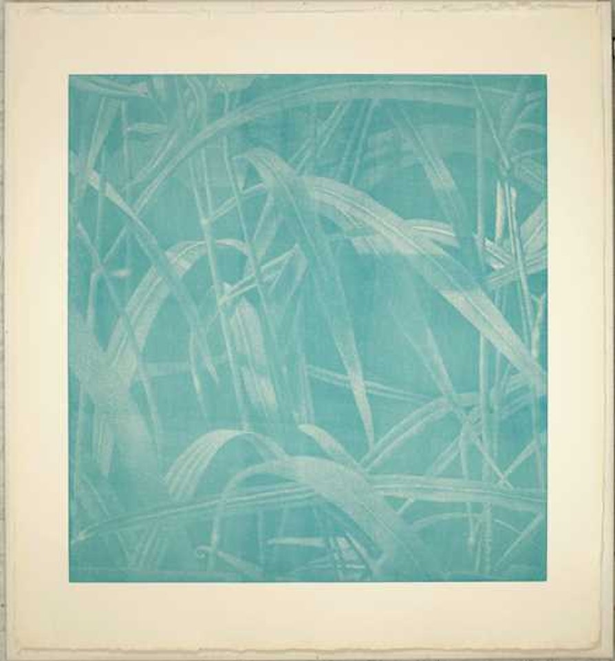 Gräser I by Franz Gertsch