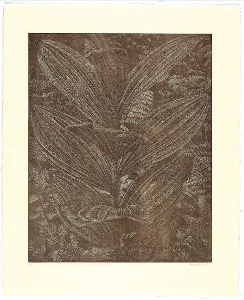 Gelber Enzian (sepia) by Franz Gertsch