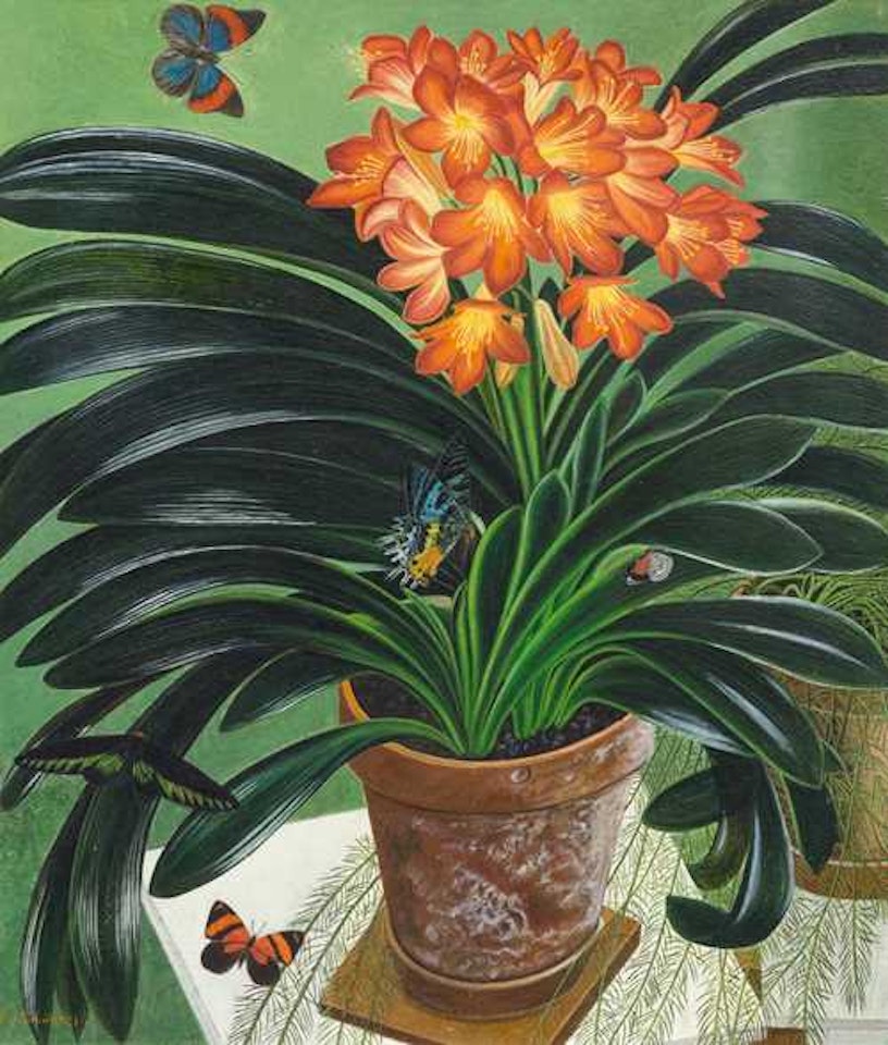 Clivia by Adolf Dietrich