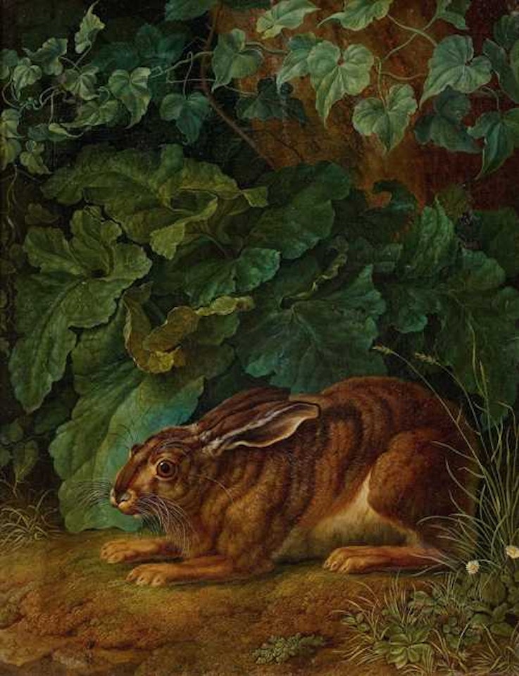 Hare in the bushes by Jacob Philipp Hackert
