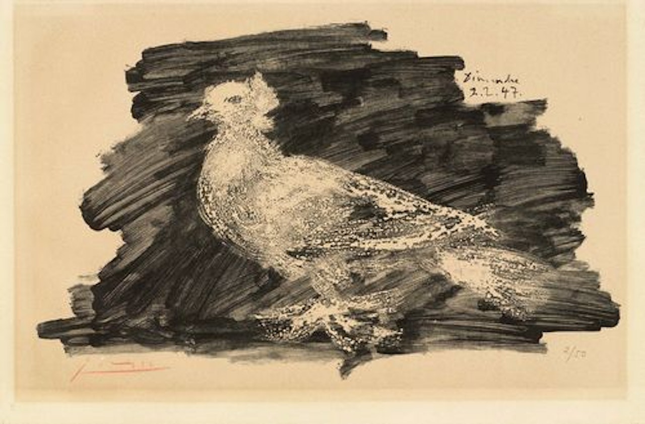 Pigeon au found gris by Pablo Picasso