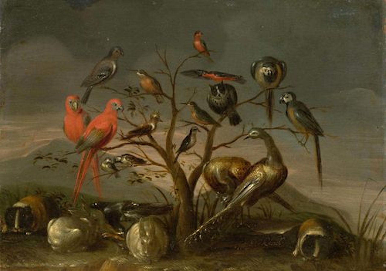 Gathering of birds, probably a study for Noah"s Ark by Jan Van Kessel The Elder