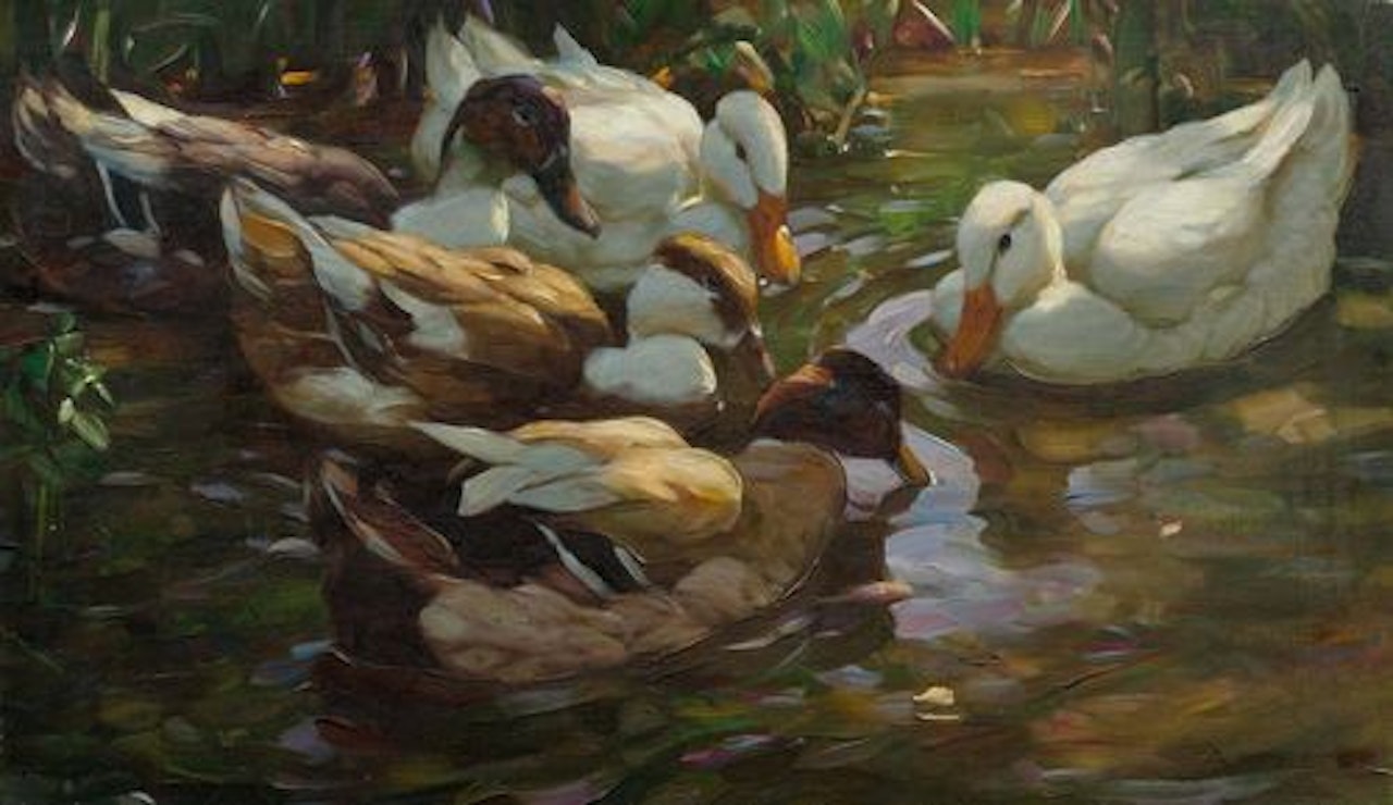 Five ducks in a pond by Alexander Koester