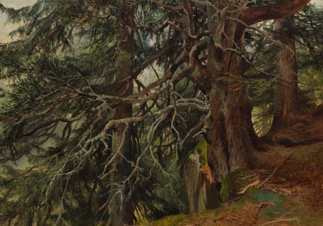 Sapins près du grand Eiger by Alexandre Calame