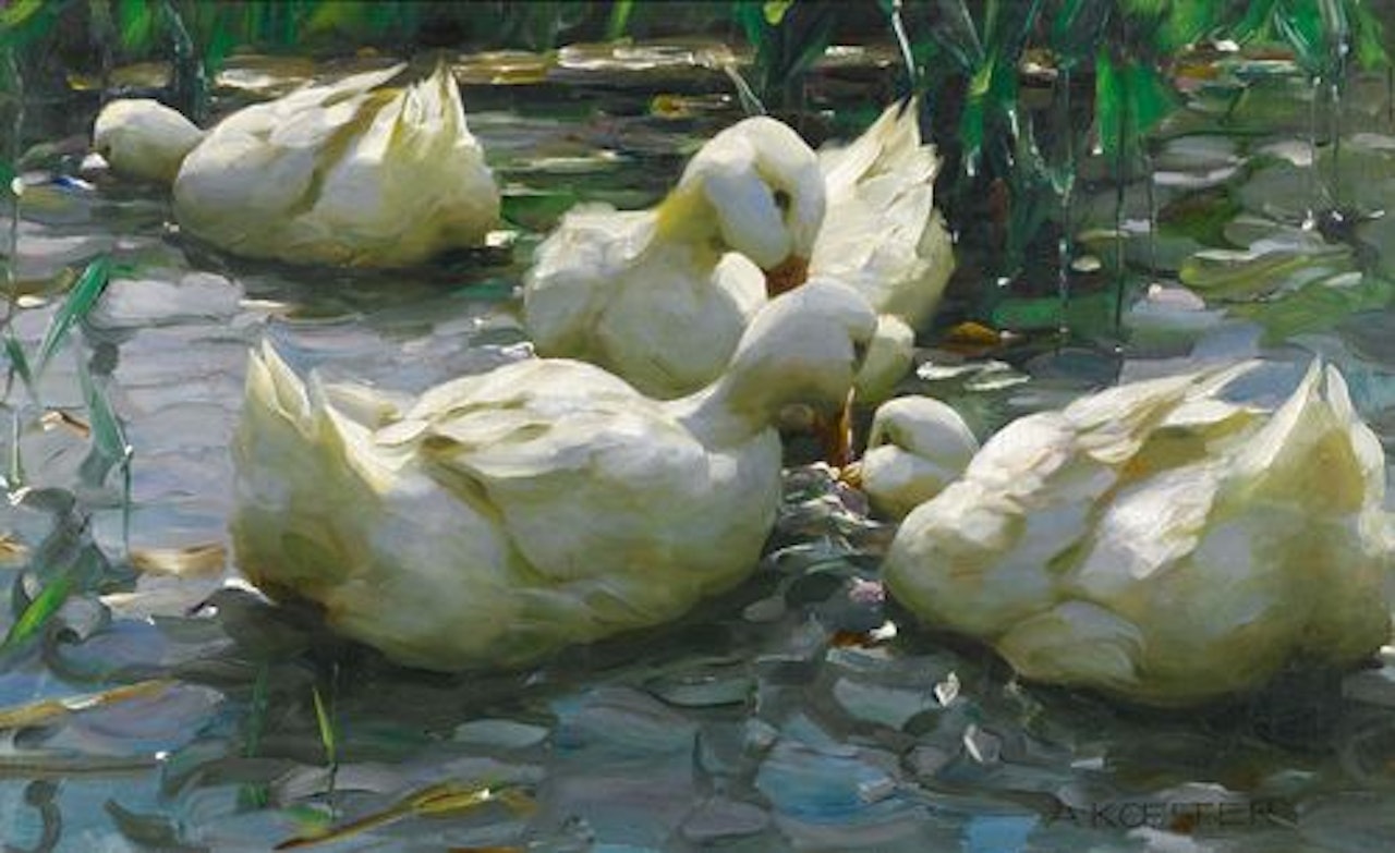 Four ducks in the water by Alexander Koester