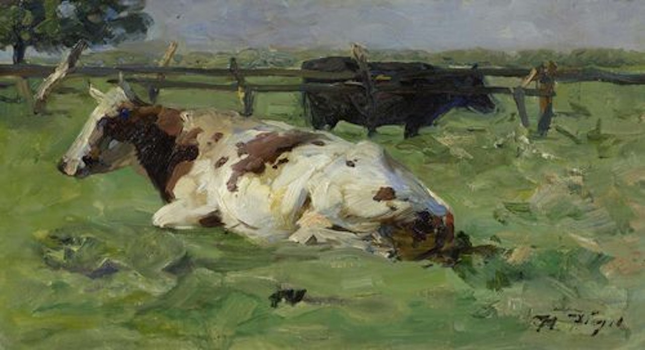 Cow in the pasture. by Heinrich von Zugel