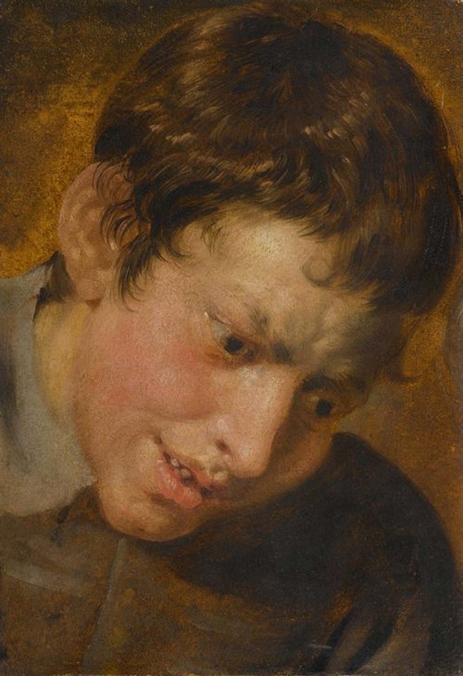 Portrait of a youth by Flemish School