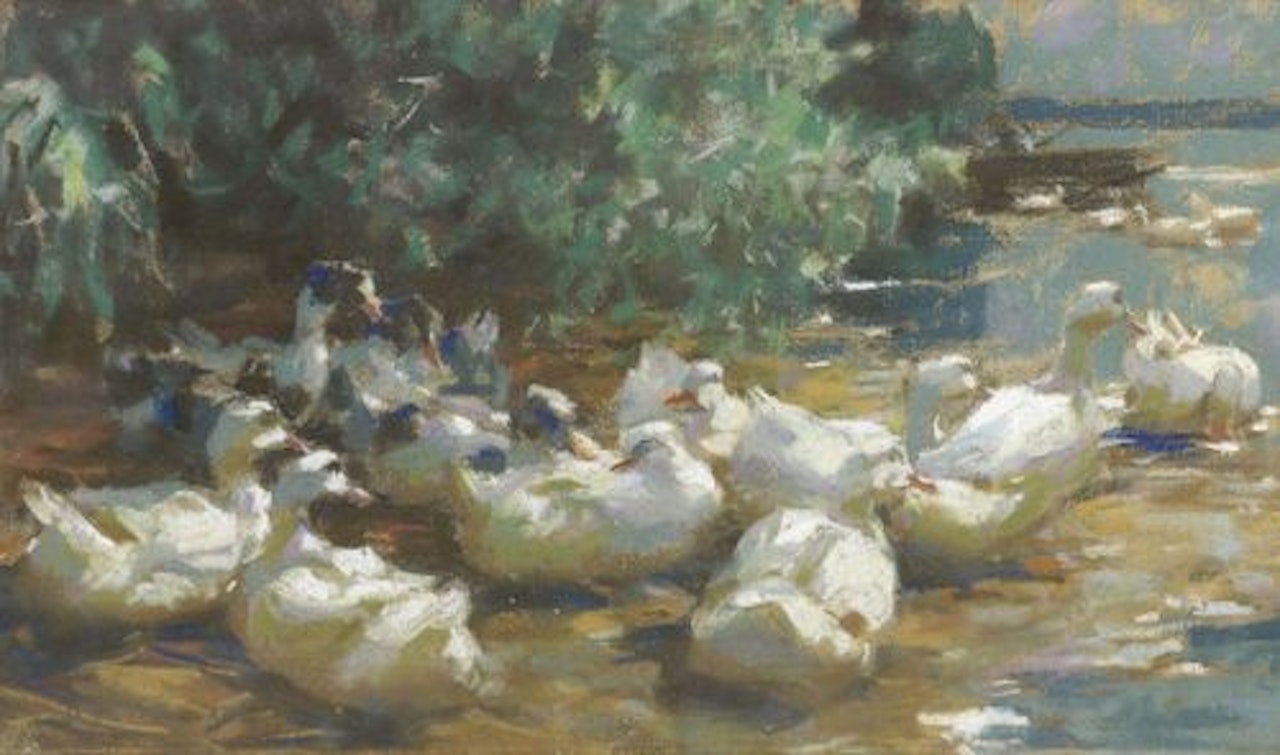 Duck"s nest under some willows by Alexander Koester