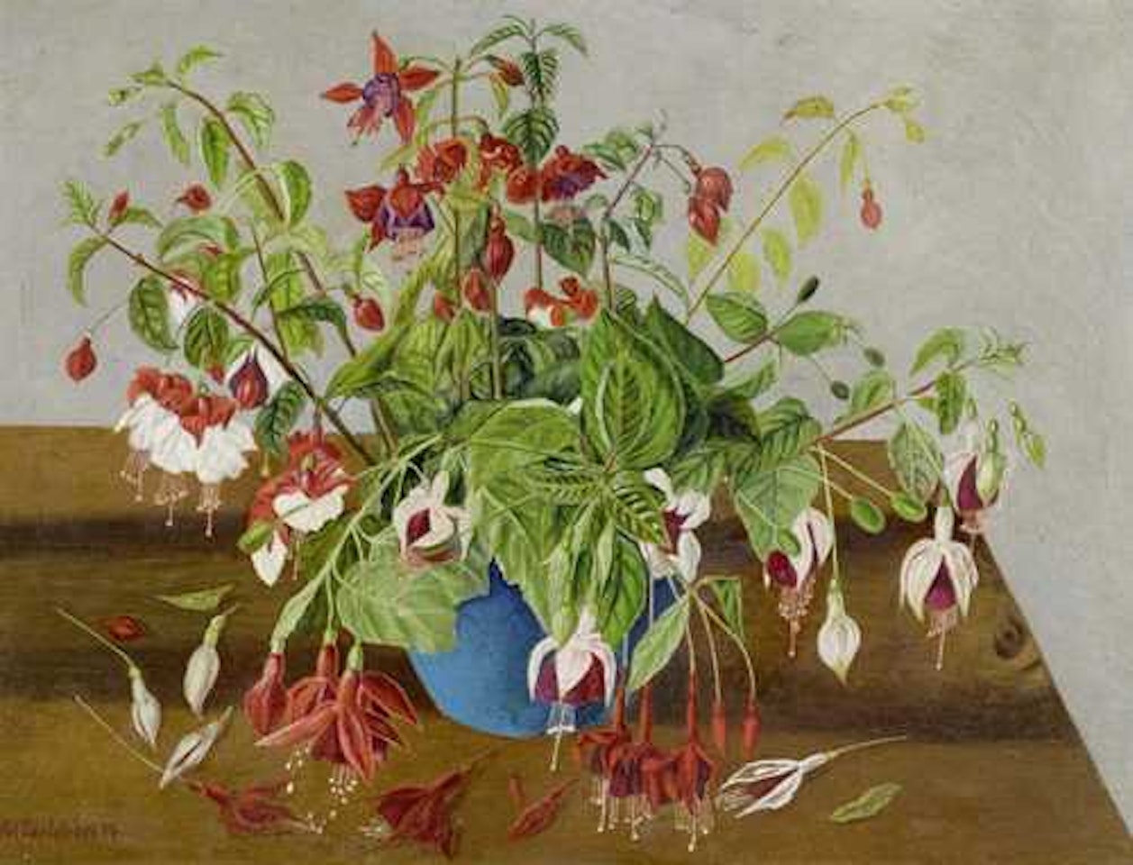 Fuchsia bouquet by Adolf Dietrich