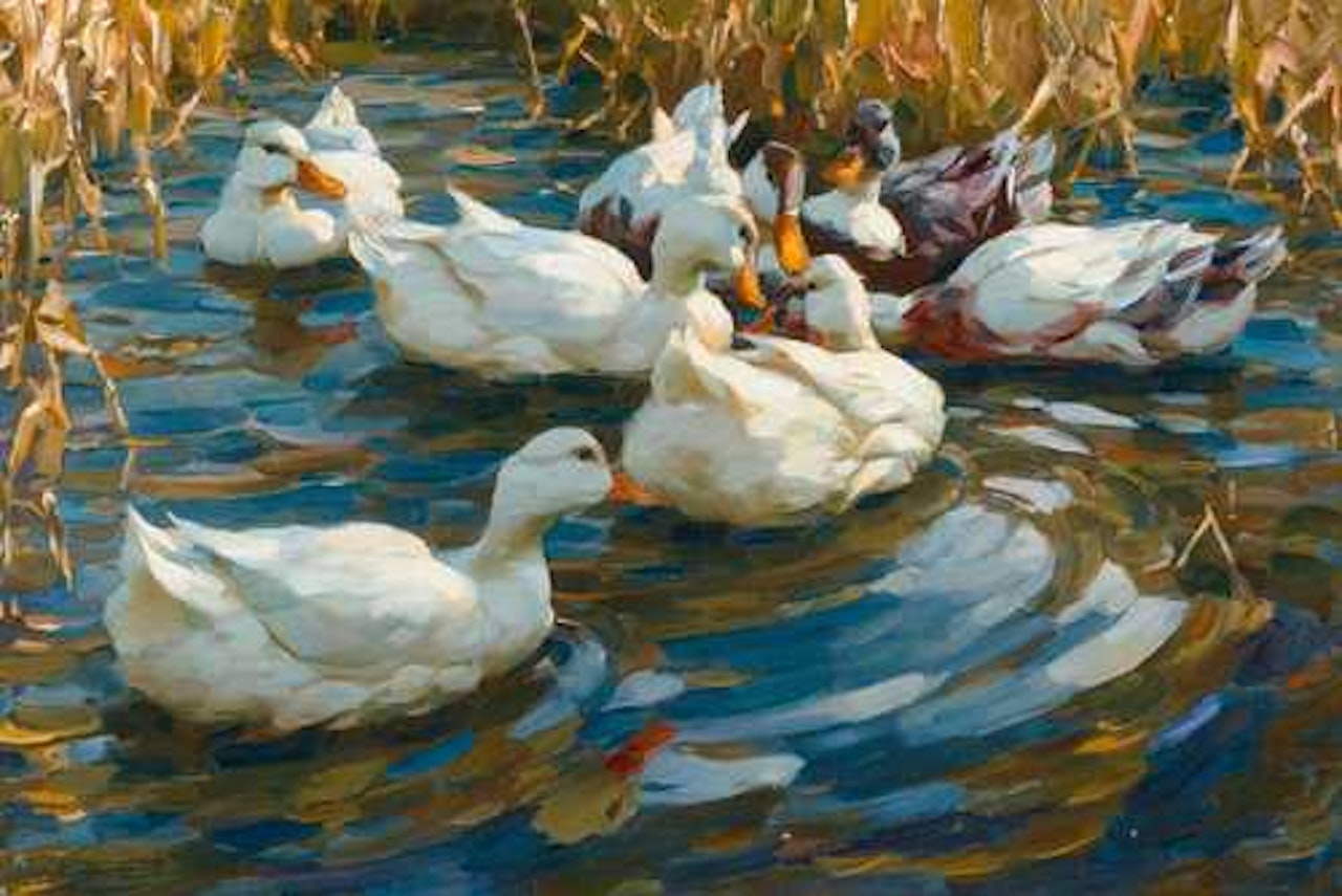 Ducks in blue reedy water by Alexander Koester