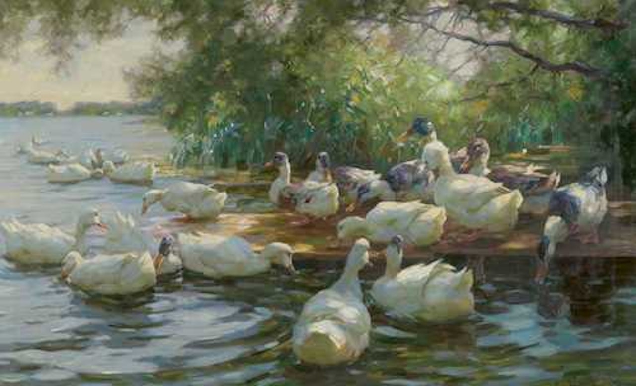 Ducks under some trees by Alexander Koester