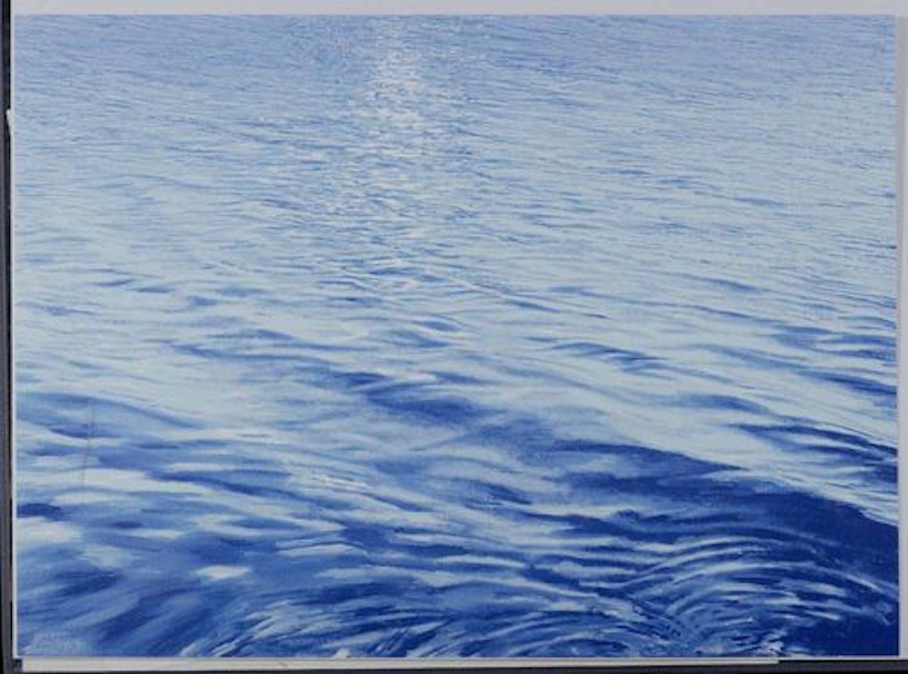 Water landscape by Franz Gertsch