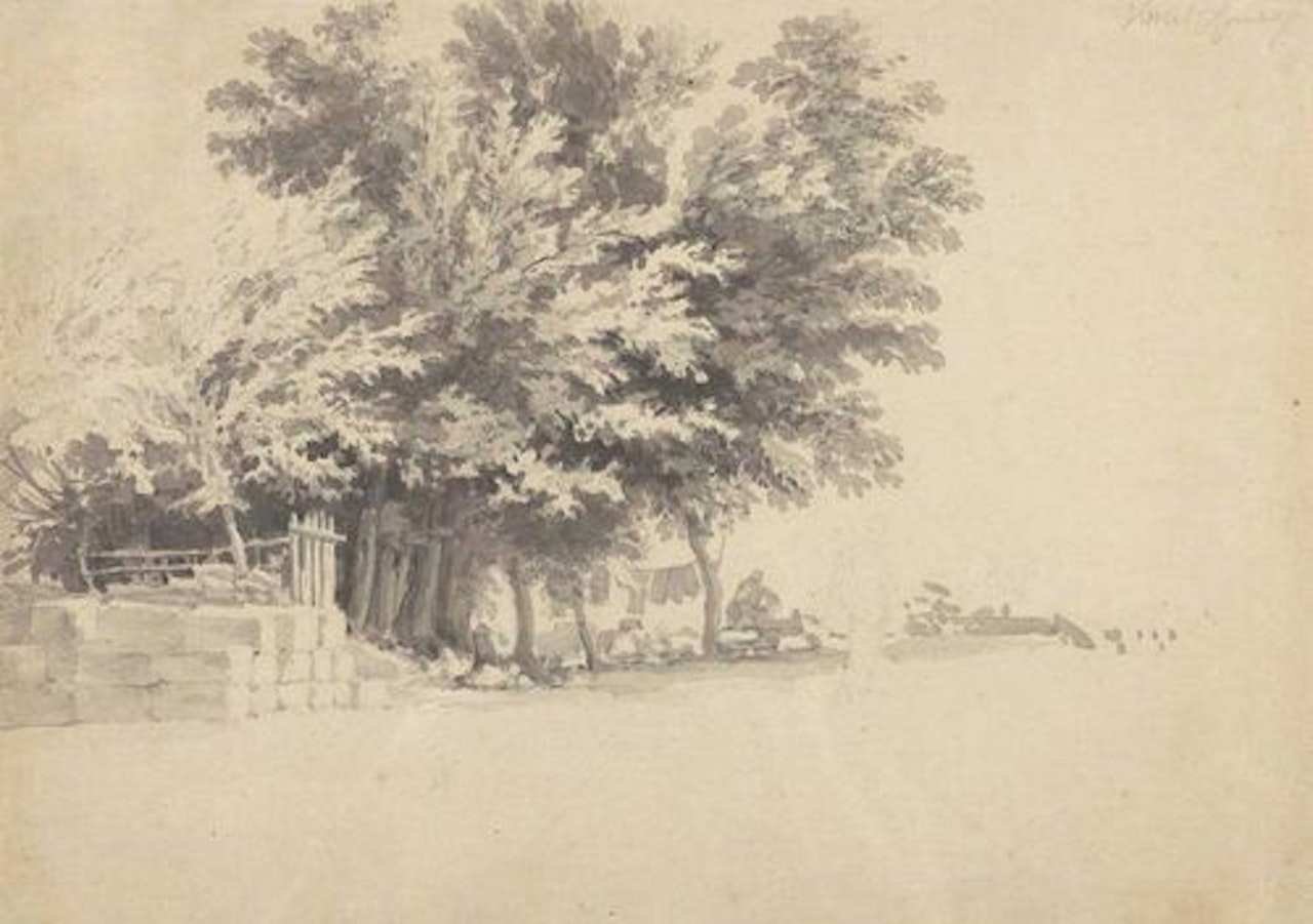 Tree study by Claude Joseph Vernet