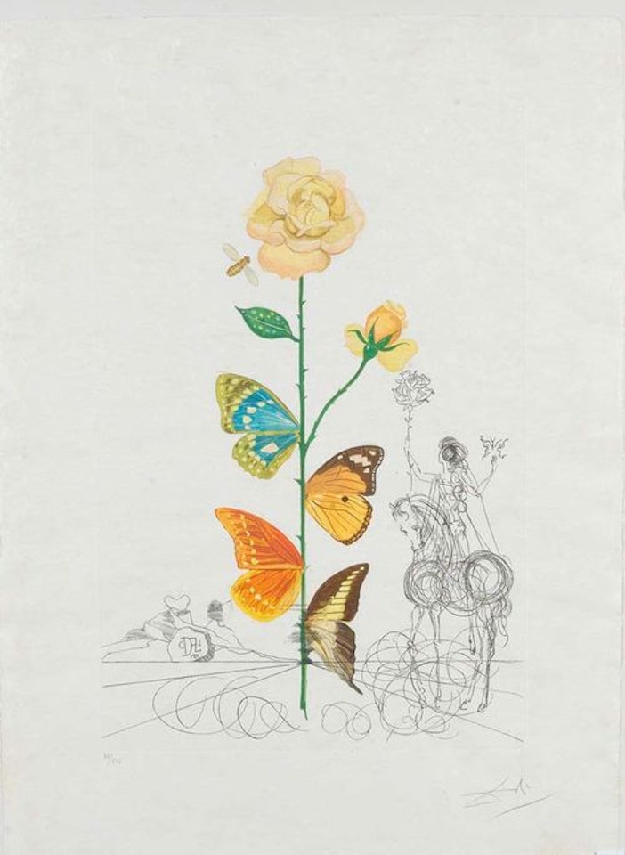 Rosa papilio, from the folder "Flordali" by Salvador Dali