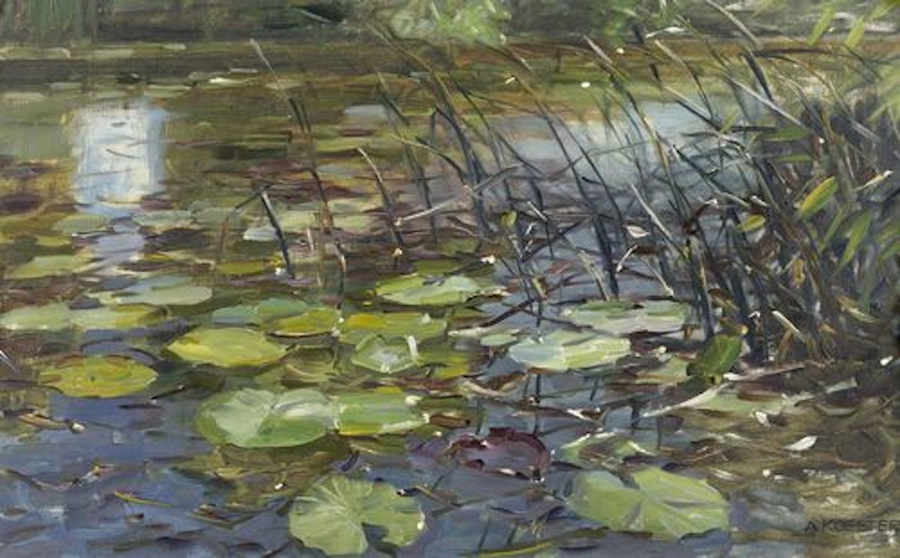 Waterlilies and reeds by Alexander Koester