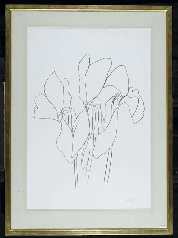 Magnolia by Ellsworth Kelly