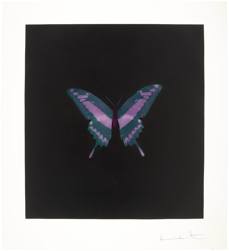 Memento: One Print; Memento : One Print by Damien Hirst