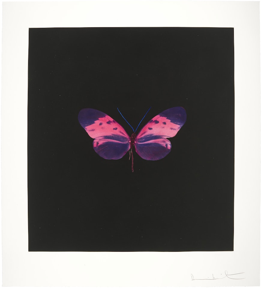 Memento; One Print; Memento : One Print by Damien Hirst