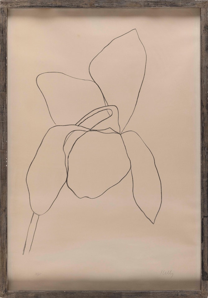 Cyclamen ll by Ellsworth Kelly