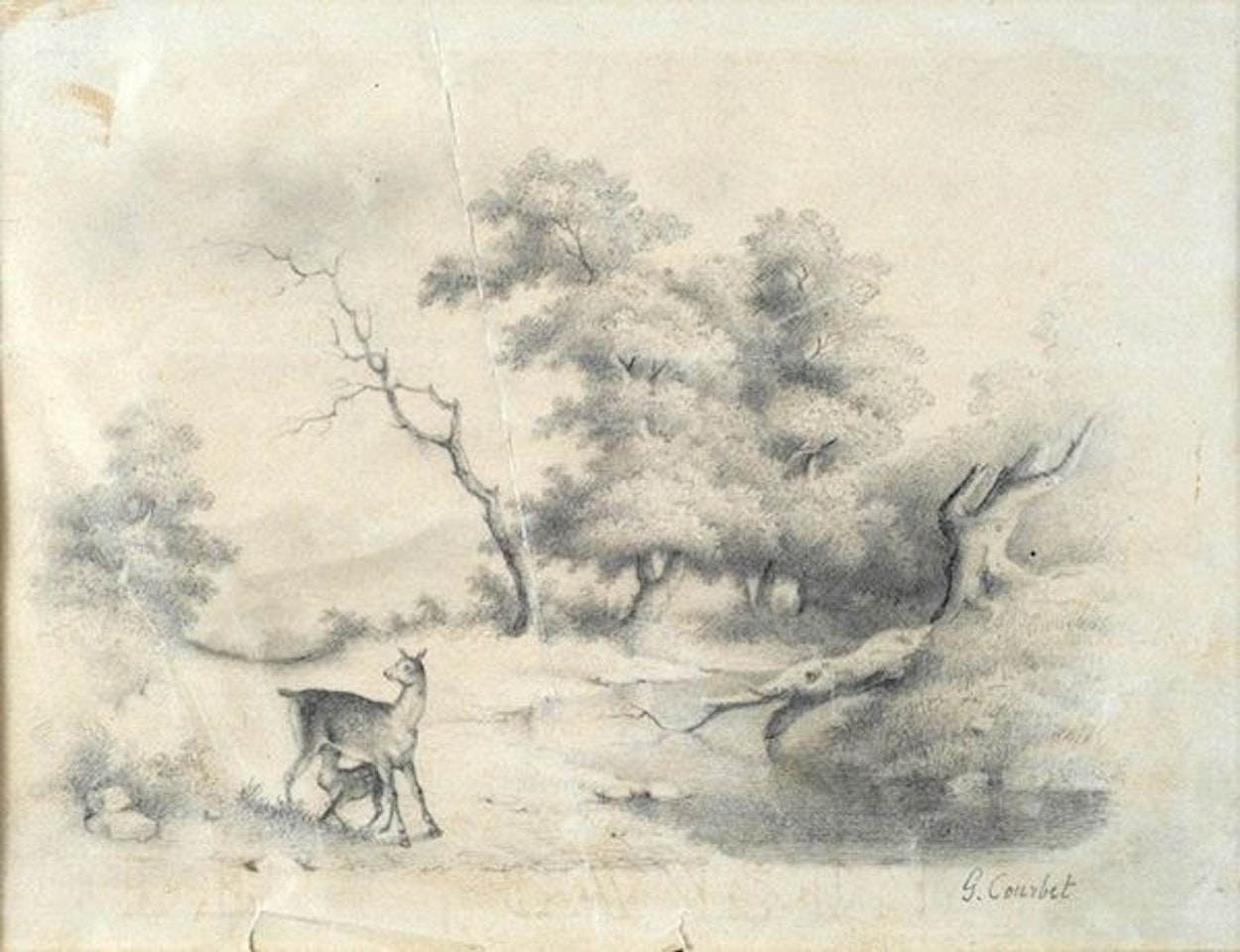 View of the forest with fawns by Gustave Courbet