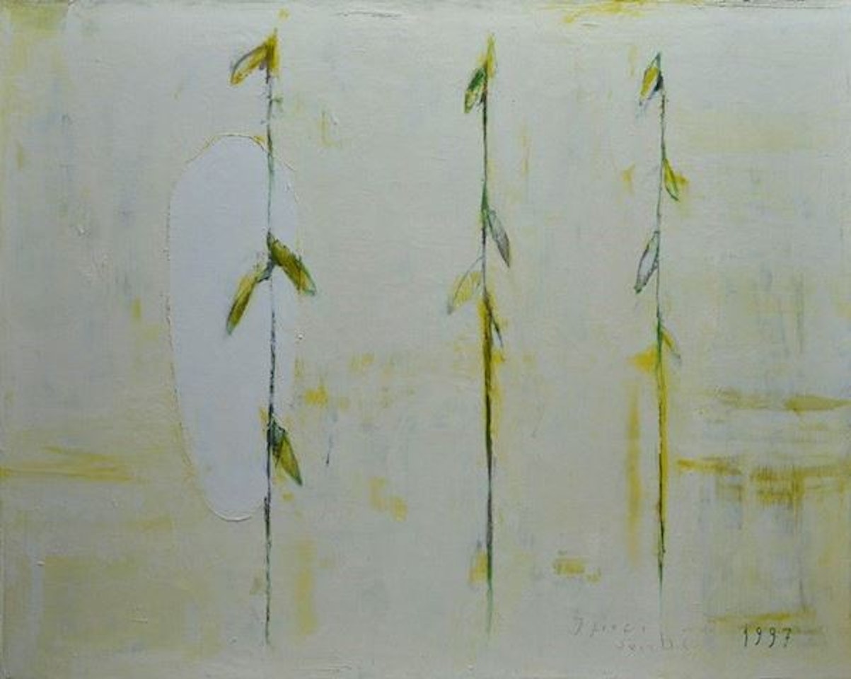 Dried flowers by Piero Pizzi Cannella
