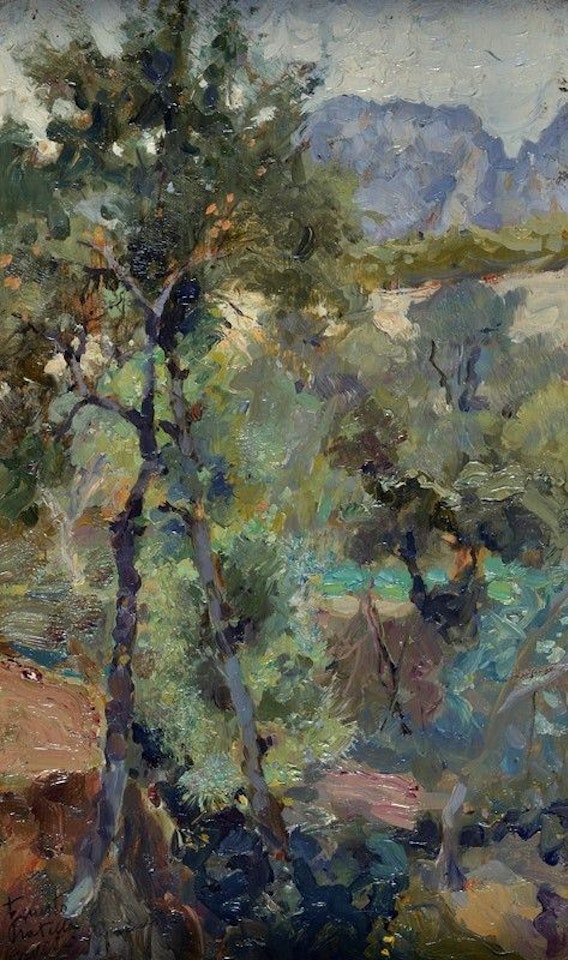 Undergrowth by Fausto Pratella
