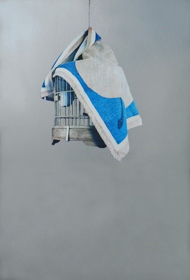 Cage by Michelangelo Pistoletto
