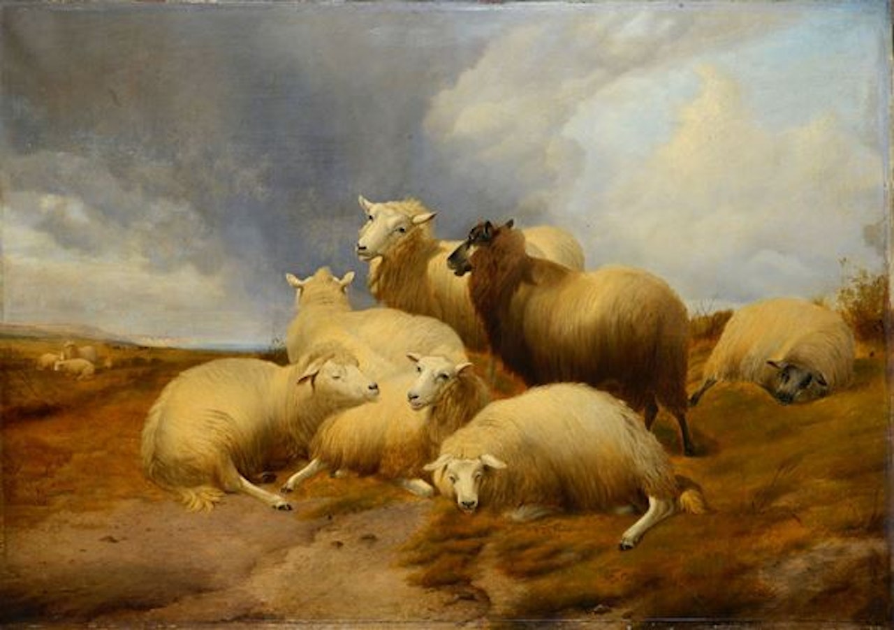 Flock by Thomas Sidney Cooper