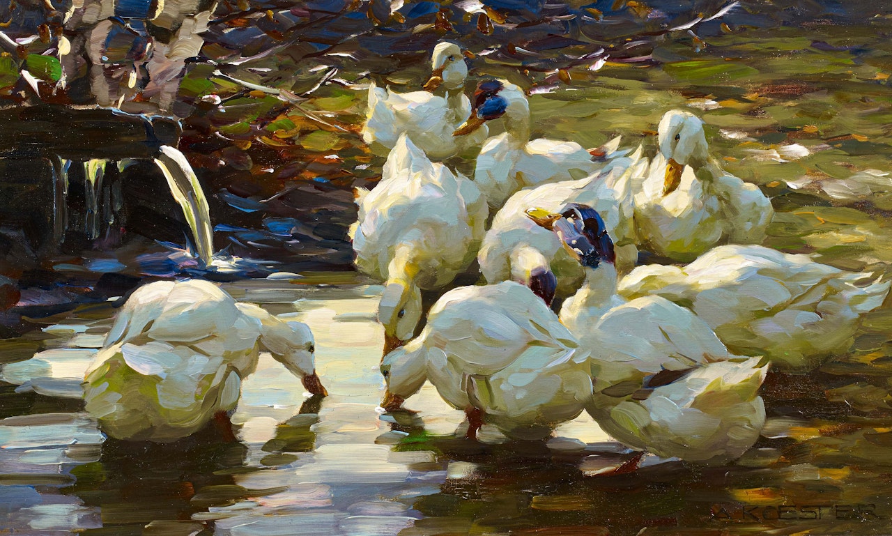 Ducks at the Brünnele by Alexander Koester
