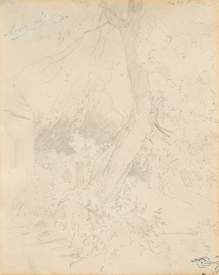 Tree Study in the Garden by Carl Spitzweg