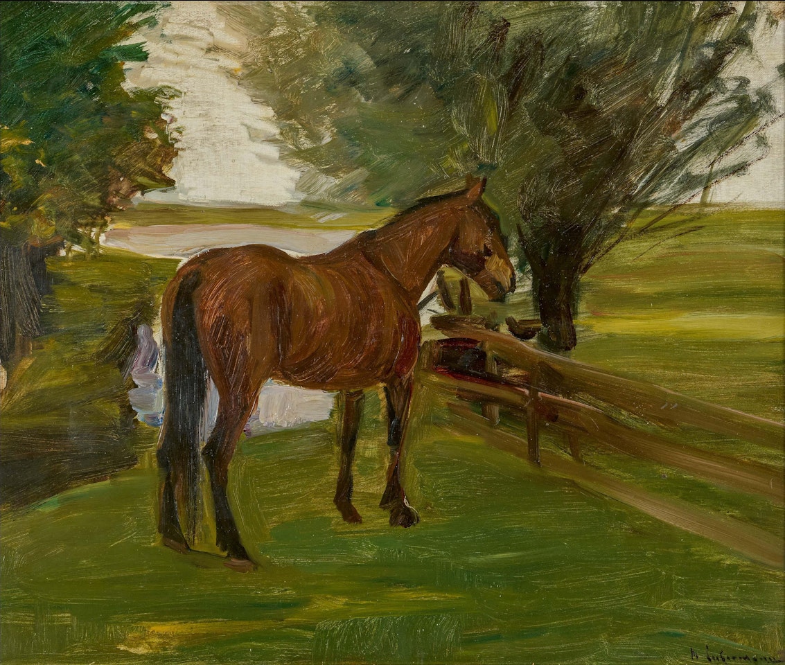 Pferd auf der Weide. by Max Liebermann