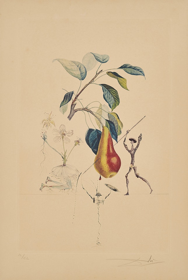 Poir Don Quichotte (From: Flordali Les Fruits). by Salvador Dali