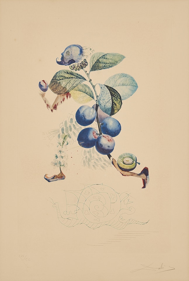 Prunier hâtif (From: Flordali Les Fruits). by Salvador Dali