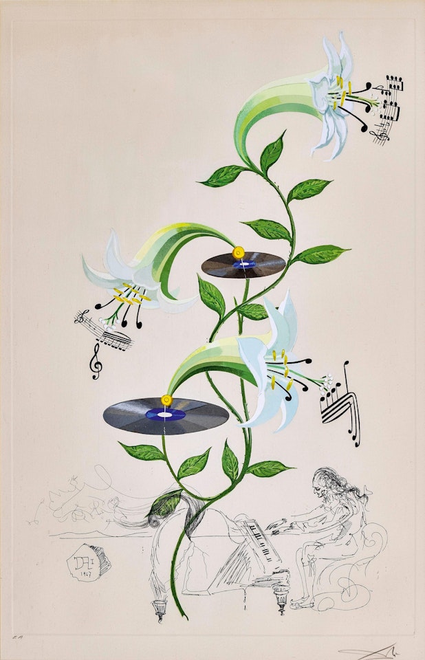 Lily by Salvador Dali