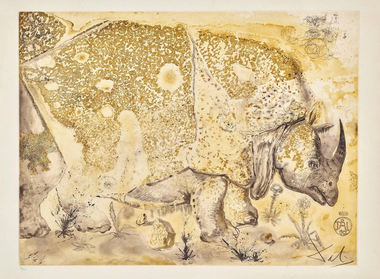 The Rhinoceros by Salvador Dali