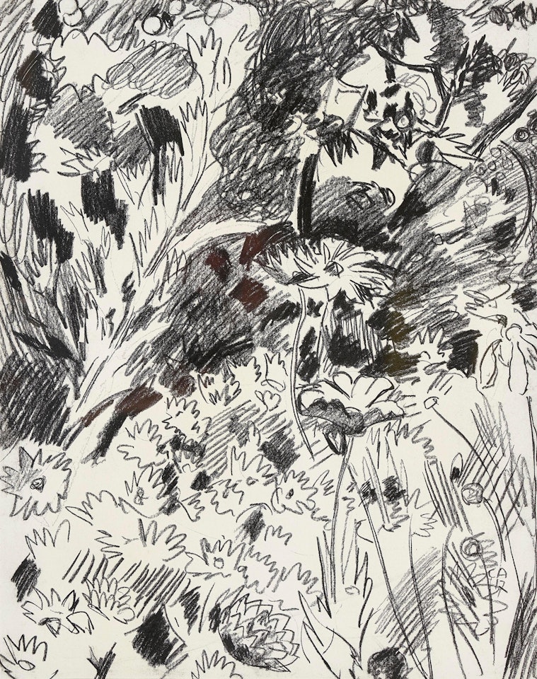 Flowers in the garden by Cuno Amiet