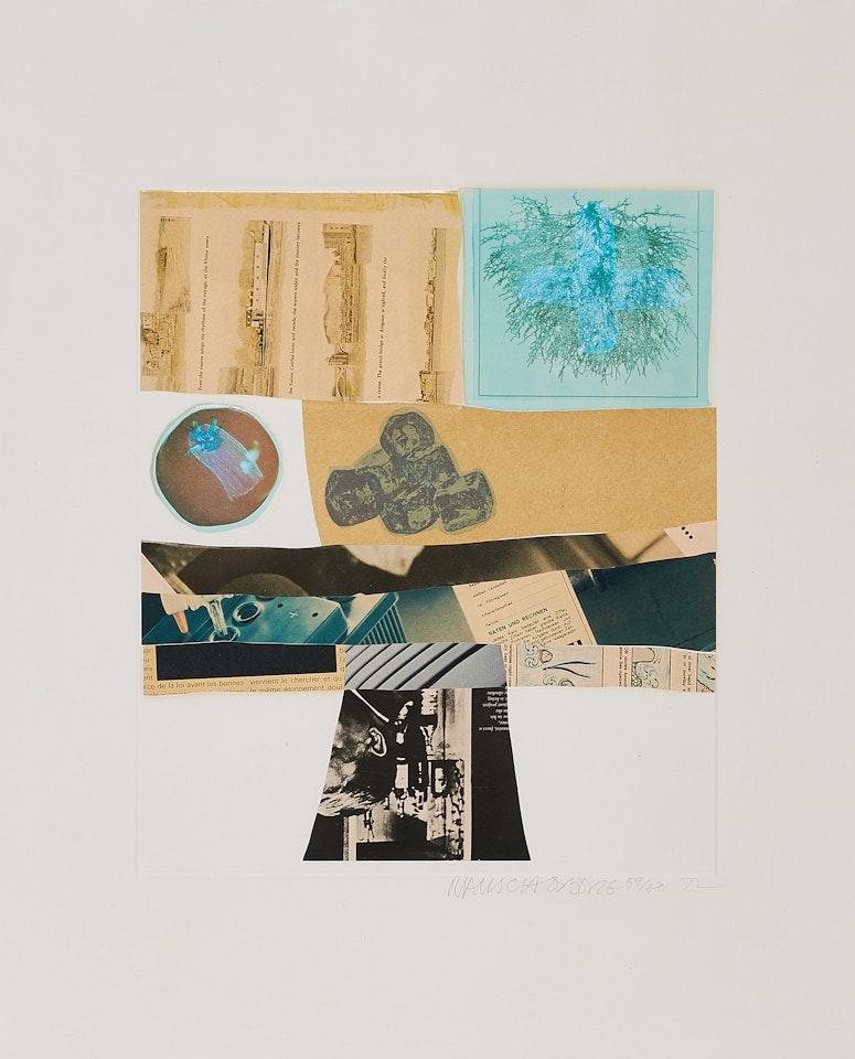 Horsefeathers Thirteen-III. by Robert Rauschenberg