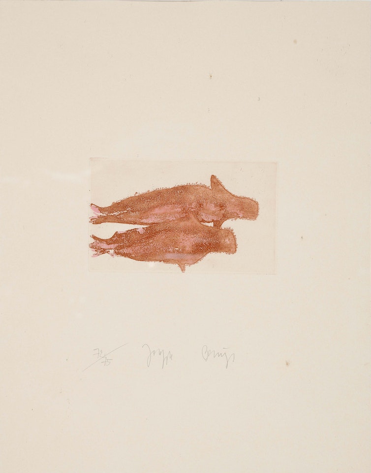 Angelshark, Two Seals by Joseph Beuys
