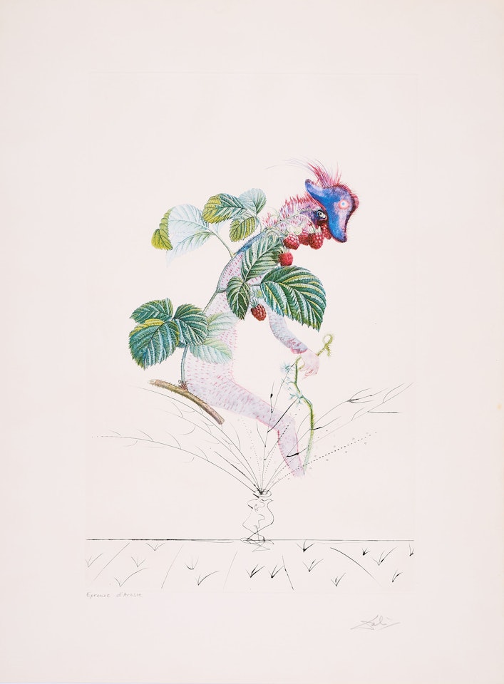 Framboisier (From: Flordali Les Fruits). by Salvador Dali