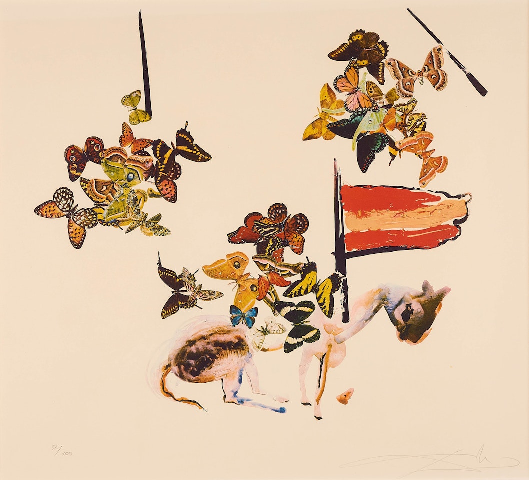 Knight of Butterflies (From: Anamorphoses) by Salvador Dali