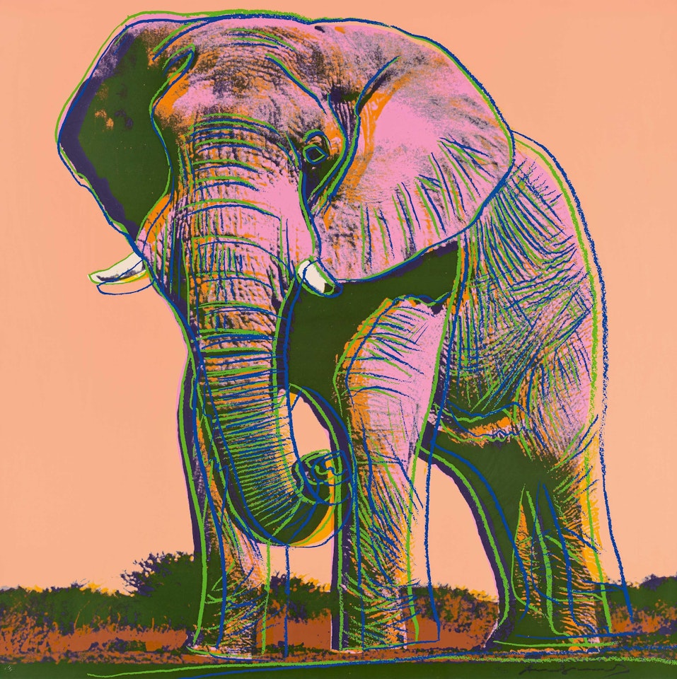 African Elephant. From: Endangered Species. by Andy Warhol