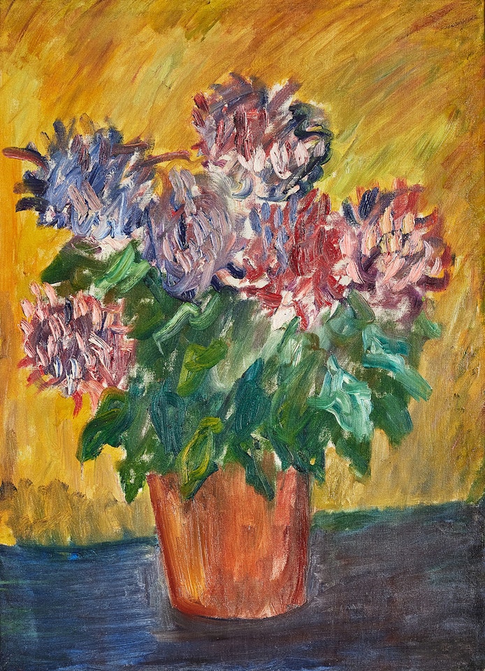 Chrysanthemum in pot. by Ivan Ivarson