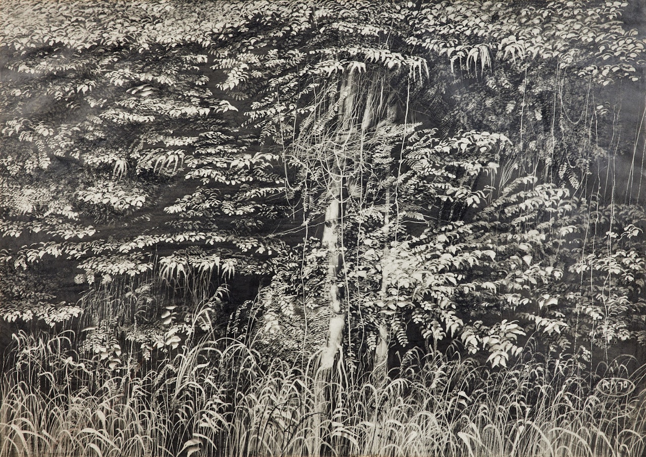 Vegetation by Roj Friberg