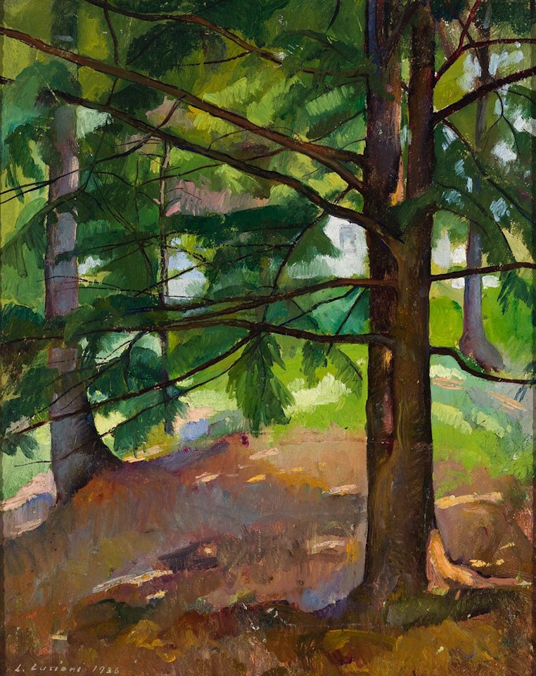 Pines and Birches by Luigi Lucioni